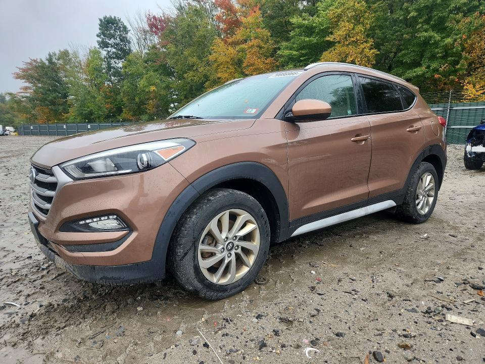 HYUNDAI TUCSON 2017 with VIN KM8J3CA41HU503521 - Photo from auction