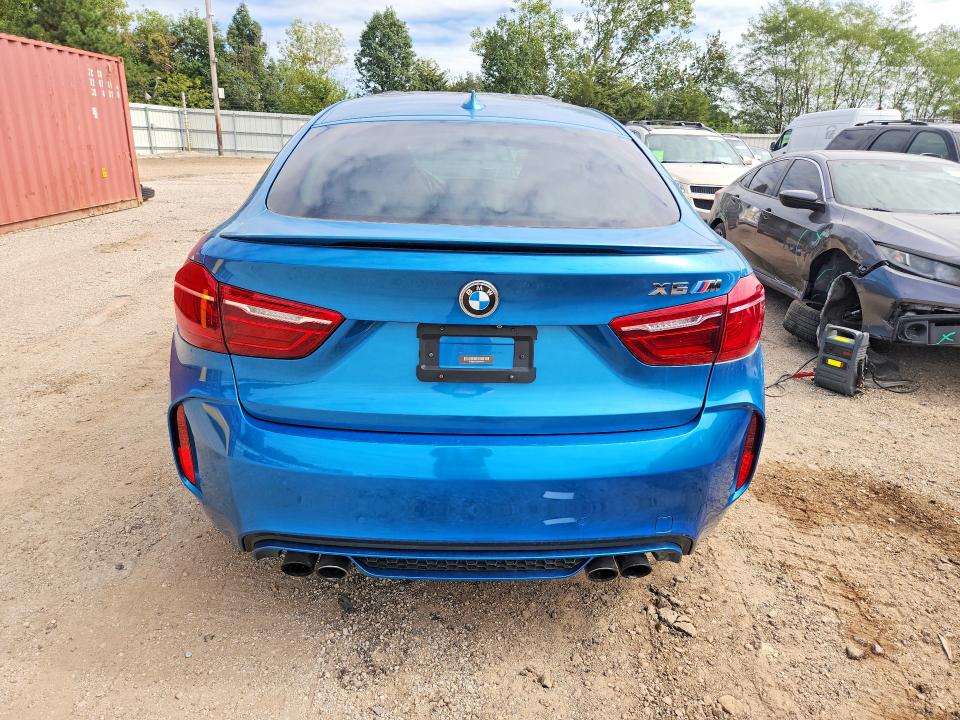 Photo 6 from auction – 2015 BMW X6 with VIN 5YMKW8C56F0R42762