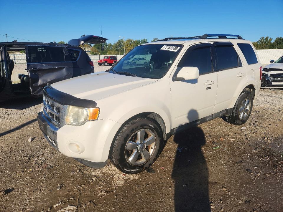 FORD ESCAPE 2010 مع رقم تعريف المركبة 1FMCU0E71AKC71397 - صورة من المزاد