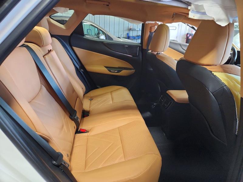 Zdjęcie 11 z aukcji – 2025 LEXUS NX z VIN 2T2HGCEZ9SC087666