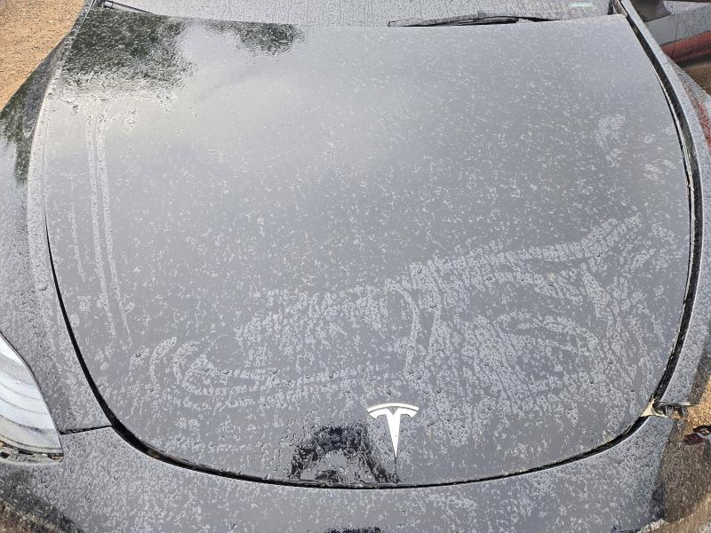 صورة رقم 11 من المزاد - 2025 TESLA MODEL Y مع VIN 7SAYGDEE0SF294470