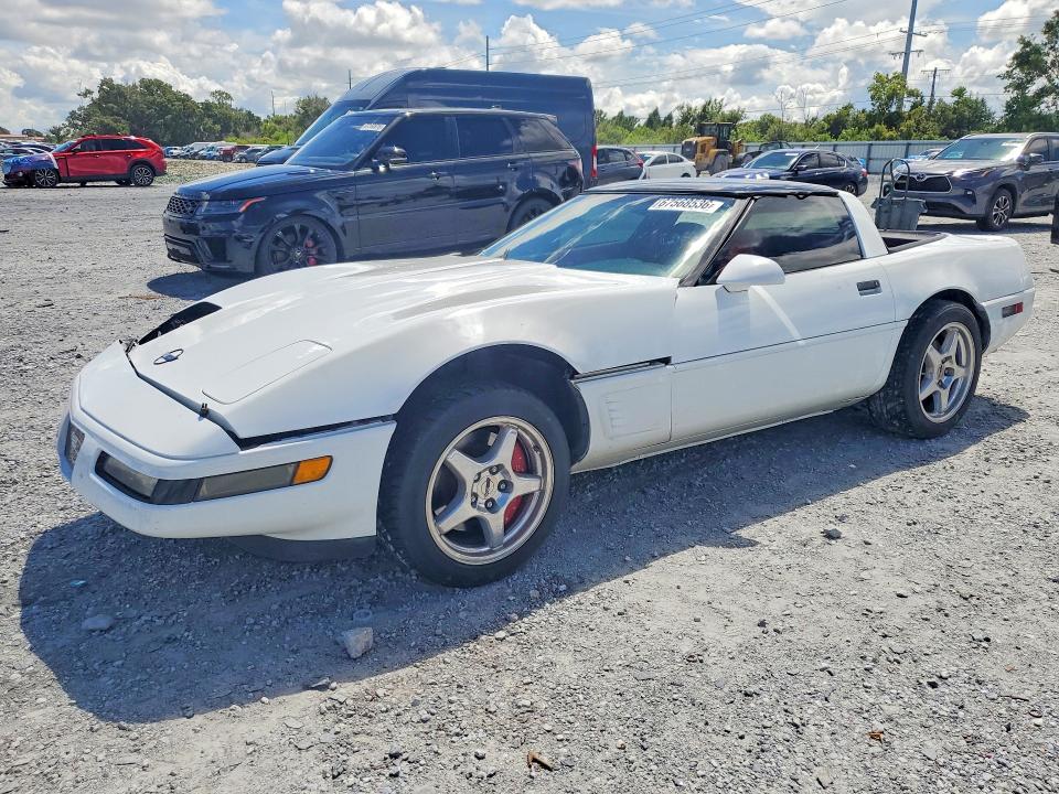 CHEVROLET CORVETTE 1995 with VIN 1G1YY22P8S5103750 - Photo from auction