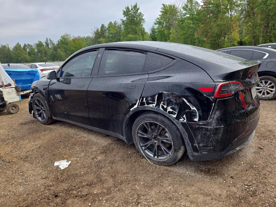 صورة رقم 2 من المزاد - 2025 TESLA MODEL Y مع VIN 7SAYGDEE0SF294470
