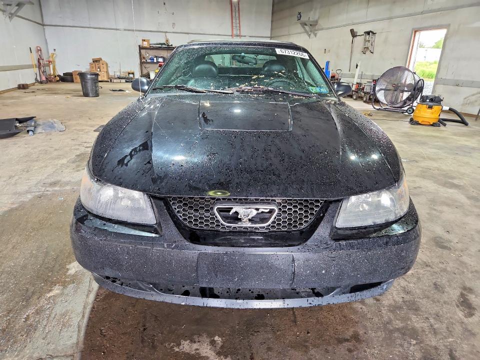 Photo 5 from auction – 2003 FORD MUSTANG with VIN 1FAFP44433F440263