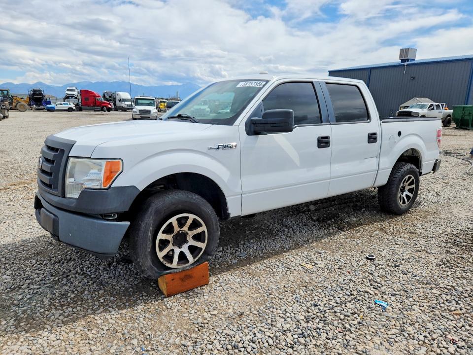 FORD F150 2010 with VIN 1FTEW1E87AFB81640 - Photo from auction