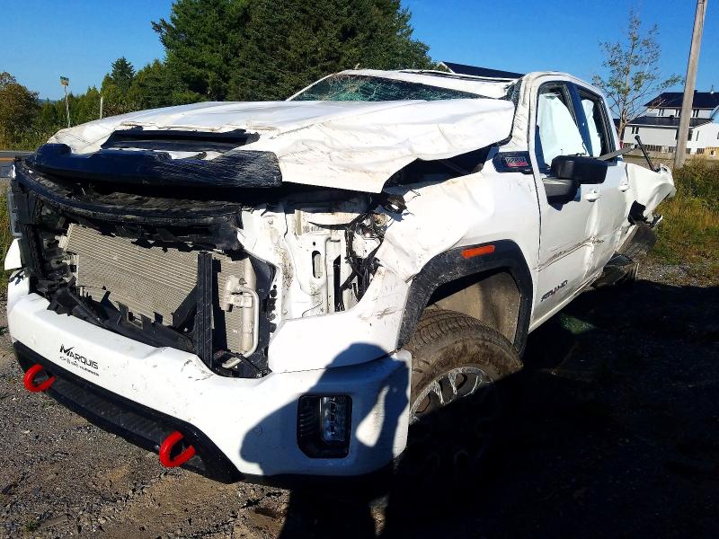 GMC SIERRA 2023 with VIN 1GT19PEY3PF257761 - Photo from auction