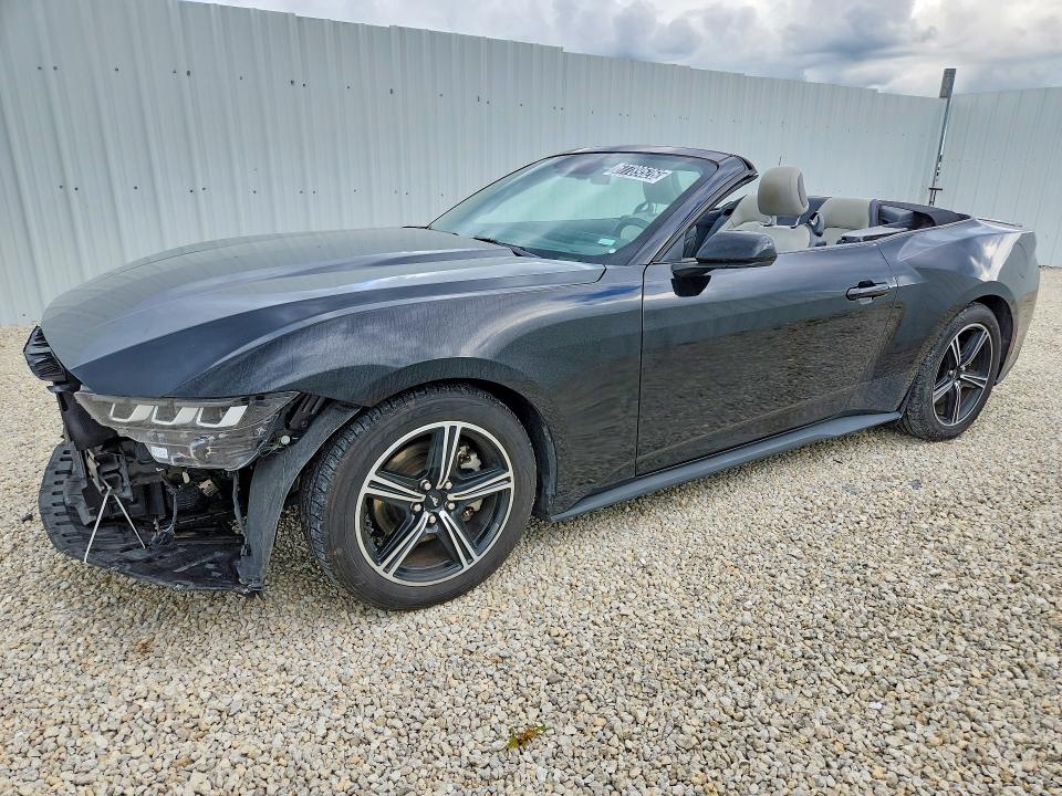 2024 FORD MUSTANG