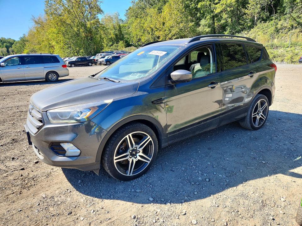 FORD ESCAPE 2019 with VIN 1FMCU9HD7KUA84886 - Photo from auction