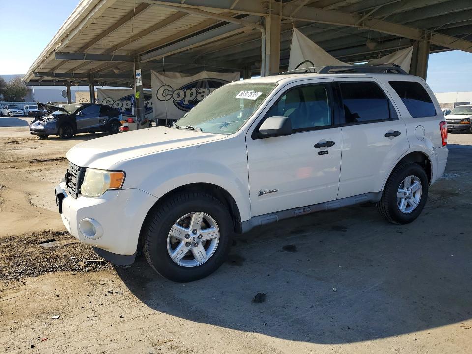 FORD ESCAPE 2010 with VIN 1FMCU4K35AKB30261 - Photo from auction