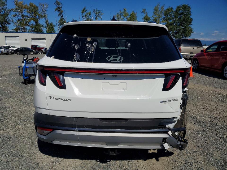 Photo 6 from auction – 2025 HYUNDAI TUCSON with VIN KM8JEDD10SU296242
