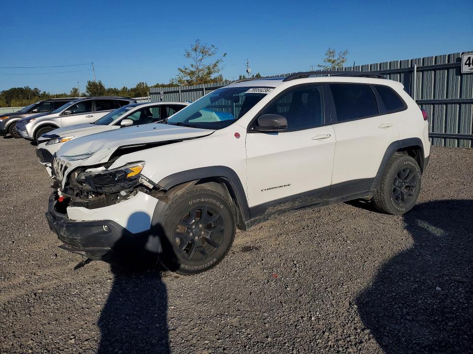 JEEP CHEROKEE 2021 with VIN 1C4PJMBX1MD143597 - Photo from auction