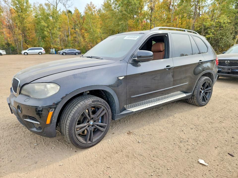 BMW X5 2009 with VIN 5UXFE435X9L037920 - Photo from auction