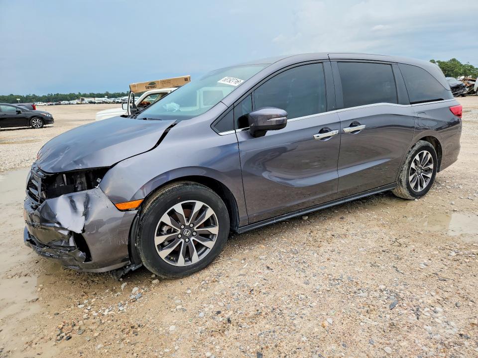 HONDA ODYSSEY 2024 with VIN 5FNRL6H62RB002809 - Photo from auction