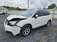 Photo 1 from auction – 2017 SUBARU FORESTER with VIN JF2SJAWC4HH472780