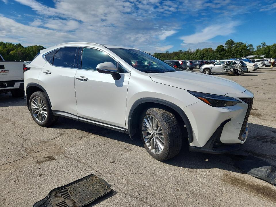 Zdjęcie 4 z aukcji – 2024 LEXUS NX z VIN 2T2HGCEZ4RC032326