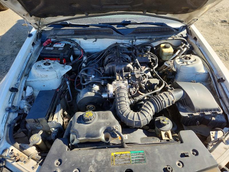 Photo 11 from auction – 2005 FORD MUSTANG with VIN 1ZVFT84N255242866