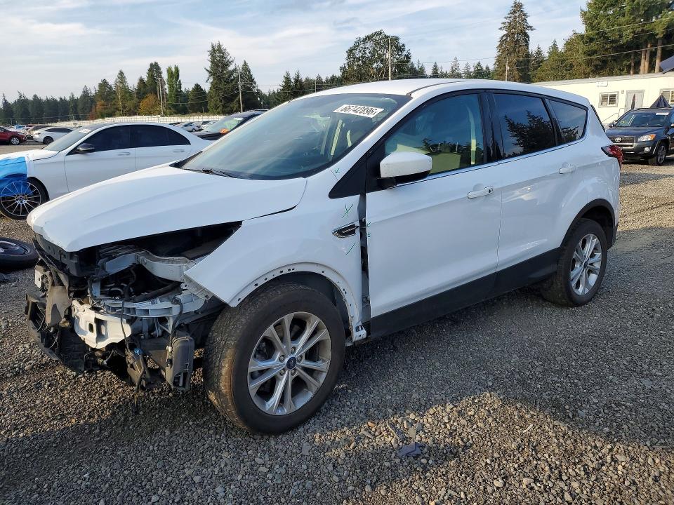 FORD ESCAPE 2019 with VIN 1FMCU9GD4KUB64163 - Photo from auction