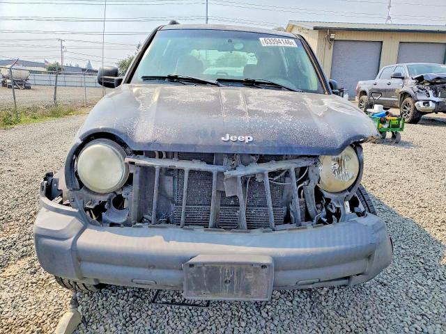 Photo 5 from auction – 2007 JEEP LIBERTY with VIN 1J4GK48K07W507391