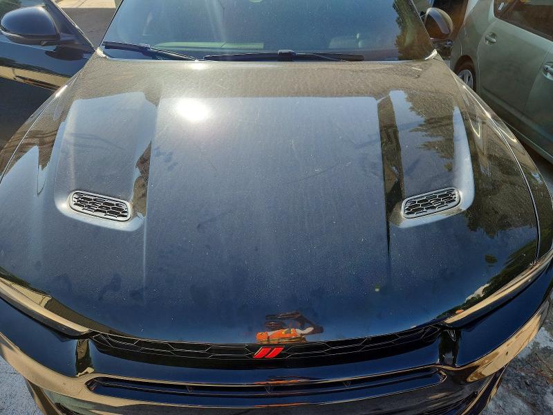 Photo 12 from auction – 2024 DODGE HORNET with VIN ZACNDFBN4R3A10406