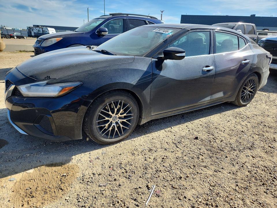 NISSAN MAXIMA 2020 with VIN 1N4AA6DV2LC379957 - Photo from auction