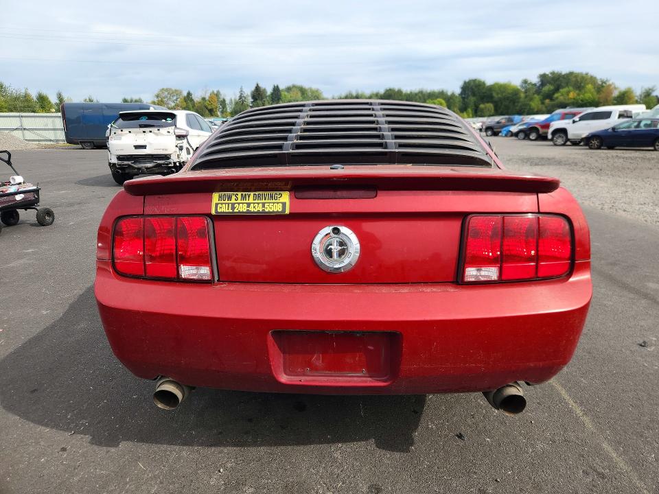 Photo 6 from auction – 2009 FORD MUSTANG with VIN 1ZVHT80N495111202