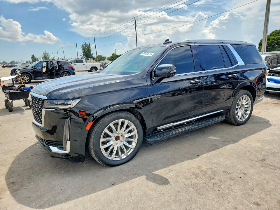 2023 CADILLAC ESCALADE - Търг №69127316