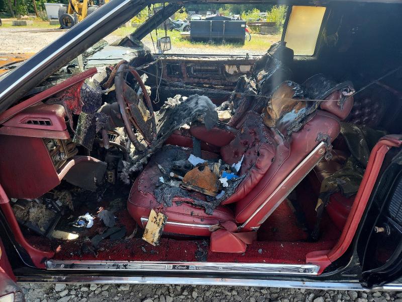 صورة رقم 7 من المزاد - 1981 CADILLAC ELDORADO مع VIN 1G6AL5797BE618437
