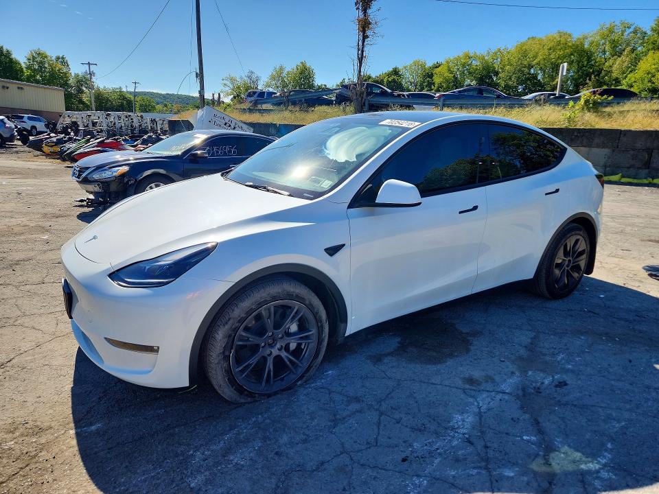 Снимка 1 от търг – 2024 TESLA MODEL Y с VIN 7SAYGDEE1RF202731