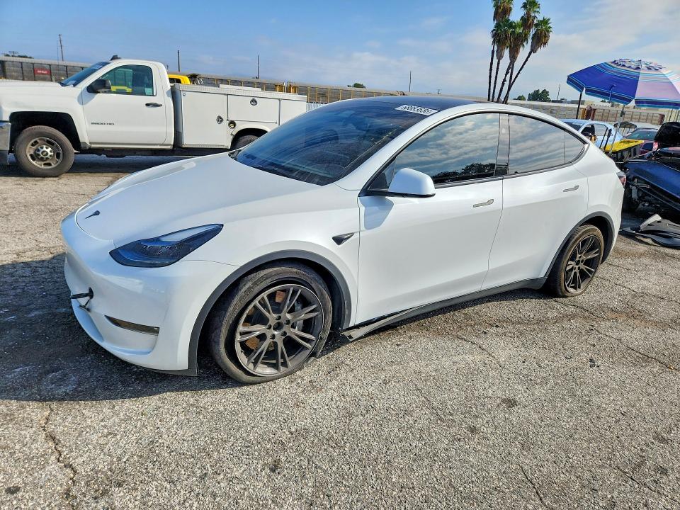 TESLA MODEL Y 2024 с VIN 7SAYGDEE8RF165323 - Снимка от търг