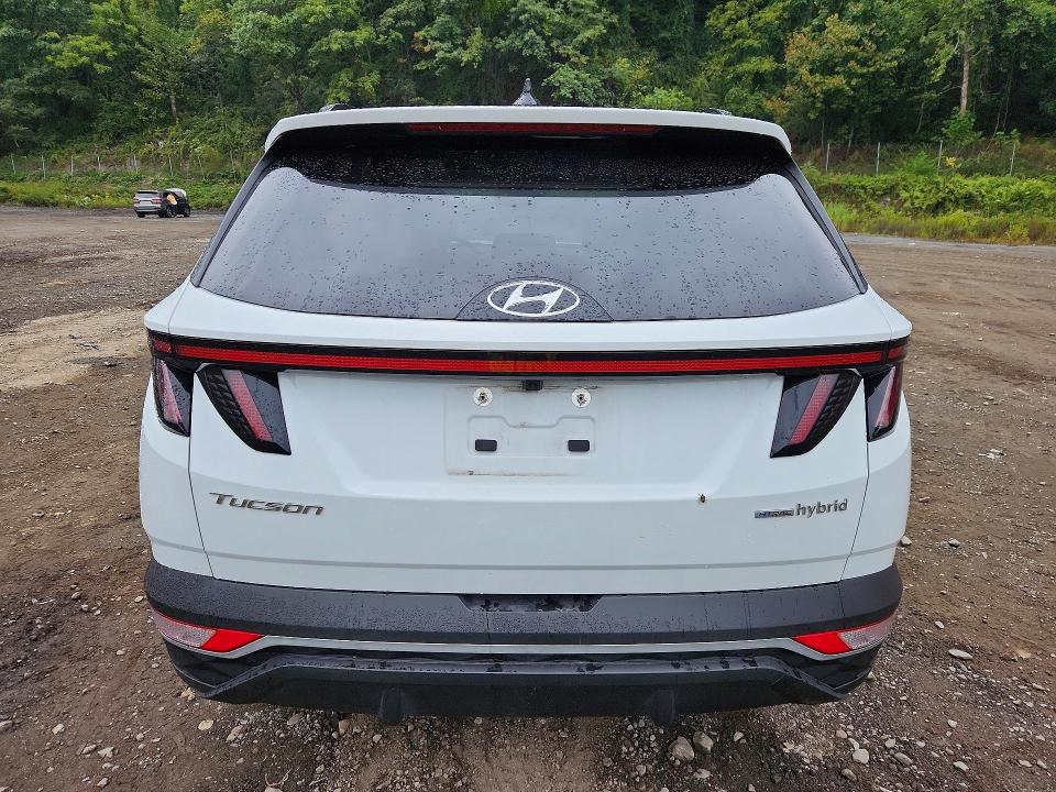 Photo 6 from auction – 2024 HYUNDAI TUCSON with VIN KM8JCCD16RU190159