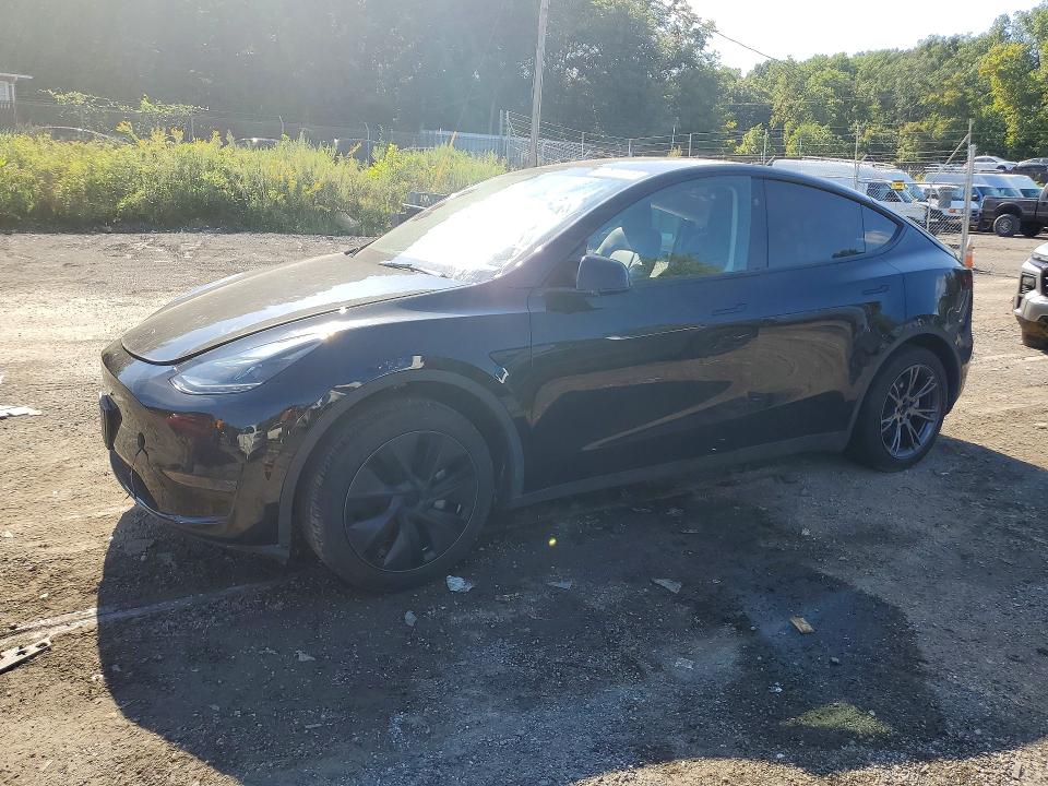 TESLA MODEL Y 2025 with VIN 7SAYGDED5SF249175 - Photo from auction