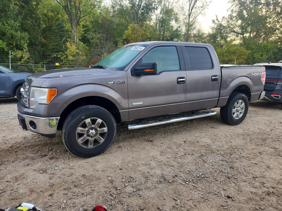 FORD F150 2014 مع رقم تعريف المركبة 1FTFW1ET0EFB58604 - صورة من المزاد