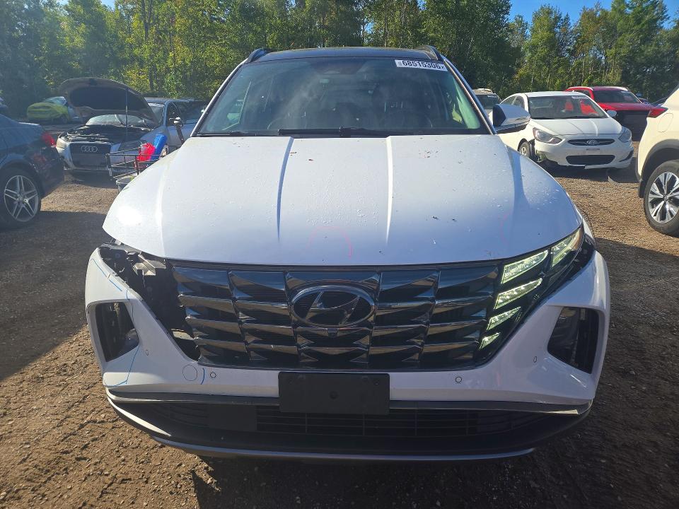 Снимка 5 от търг – 2024 HYUNDAI TUCSON с VIN KM8JCCD11RU181076