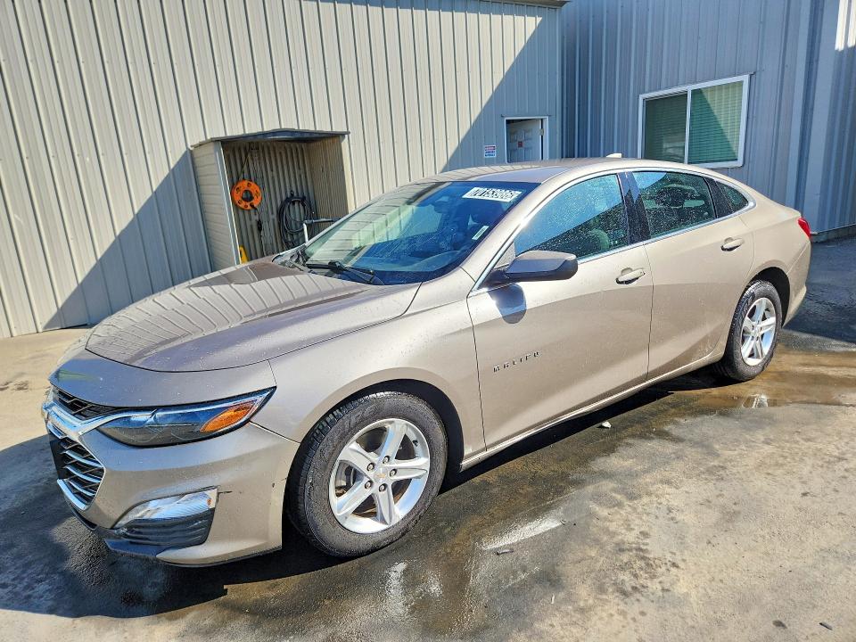 CHEVROLET MALIBU 2023 with VIN 1G1ZD5ST9PF175881 - Photo from auction