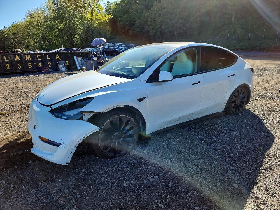 Фото 1 с аукциона – 2023 TESLA MODEL Y с VIN 7SAYGDEF3PF773899