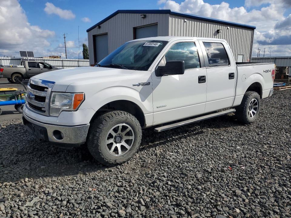 FORD F150 2014 with VIN 1FTFW1ET5EFA93877 - Photo from auction