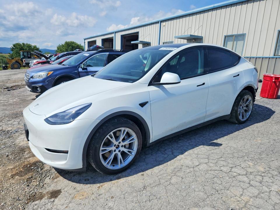 2023 TESLA MODEL Y - Търг №67508466