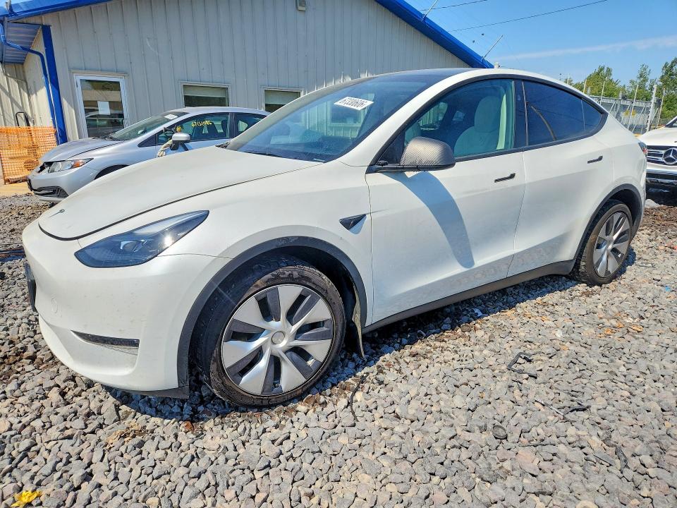 TESLA MODEL Y 2024 with VIN 7SAYGDEE7RA258332 - Photo from auction