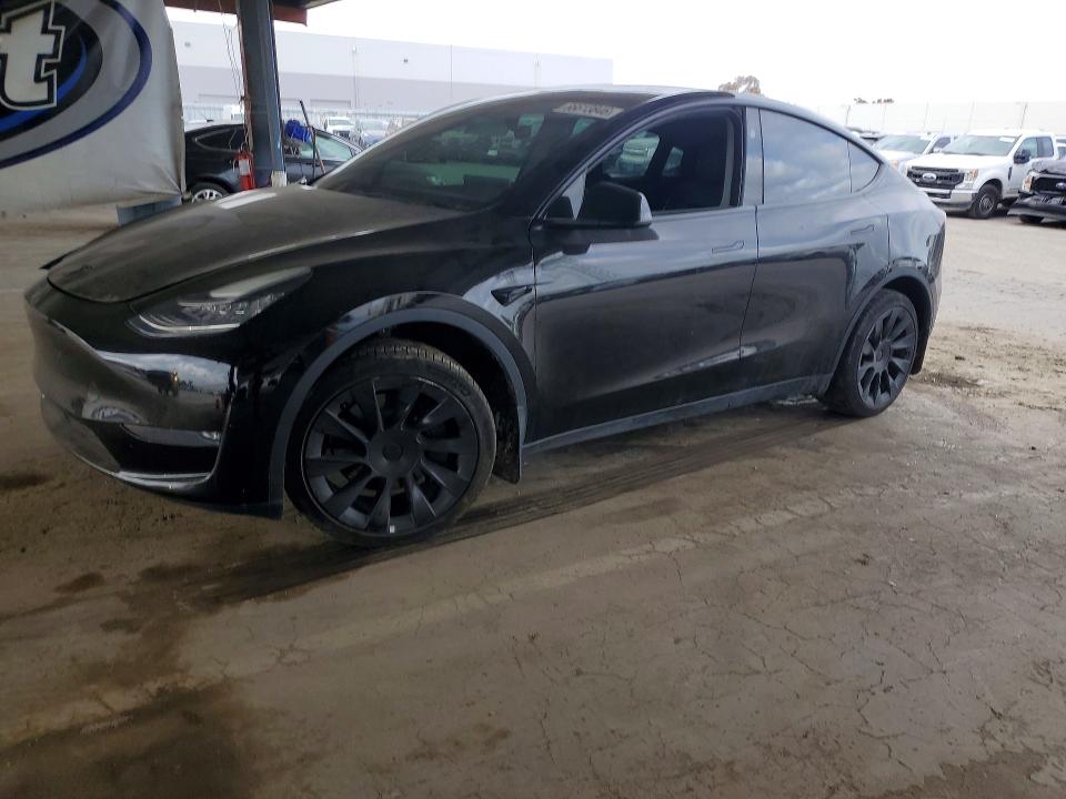 2023 TESLA MODEL Y - Търг №66613846