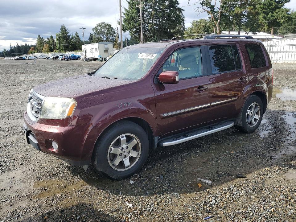 HONDA PILOT 2009 with VIN 5FNYF48989B019695 - Photo from auction