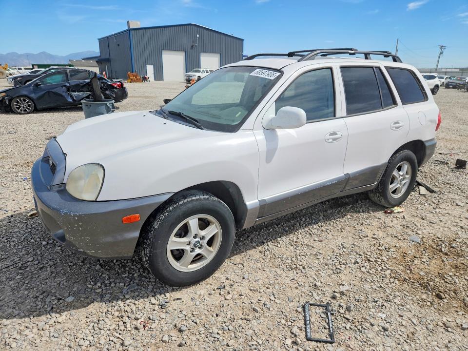 HYUNDAI SANTA FE 2004 with VIN KM8SC73E24U783297 - Photo from auction