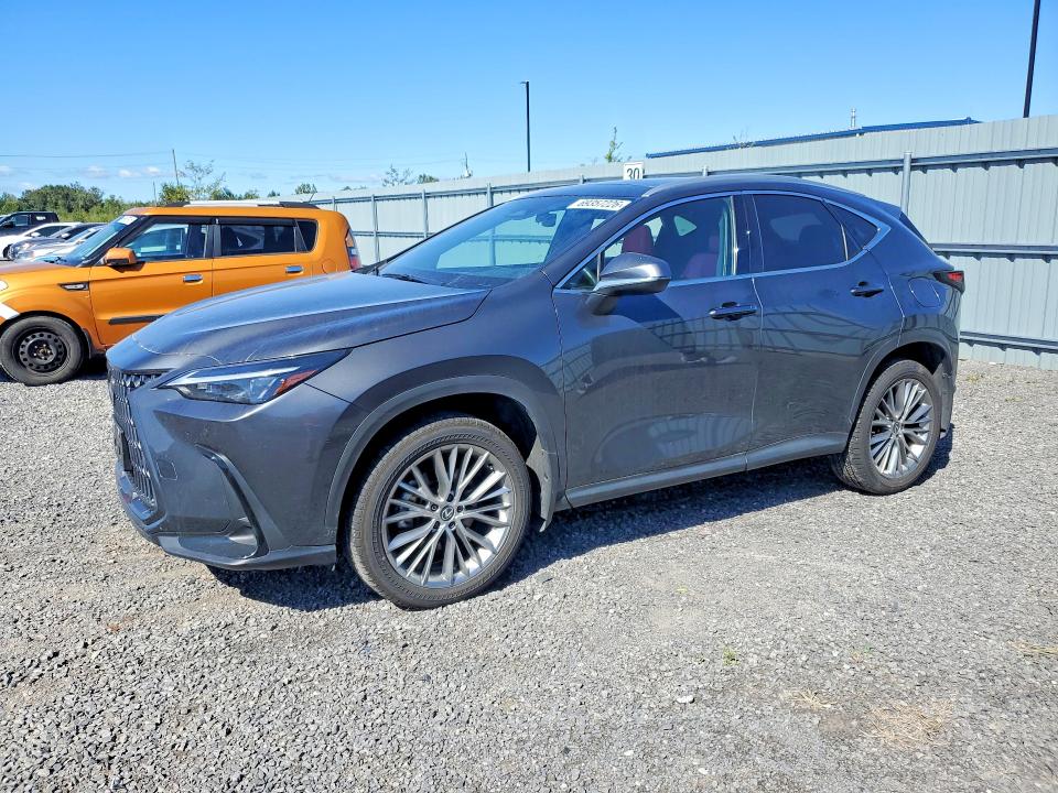 LEXUS NX 350H 2025 with VIN 2T2GKCEZ3SC044595 - Photo from auction