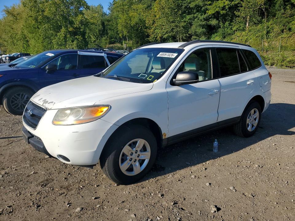 HYUNDAI SANTA FE 2009 with VIN 5NMSG13D59H264093 - Photo from auction