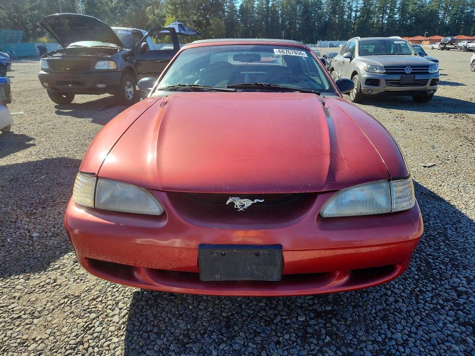 Photo 5 from auction – 1998 FORD MUSTANG with VIN 1FAFP4446WF216683