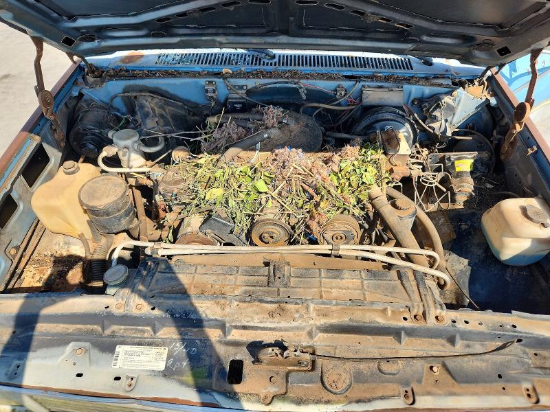 Photo 11 from auction – 1985 GMC C2500 with VIN 1GTGC24W8FJ521759