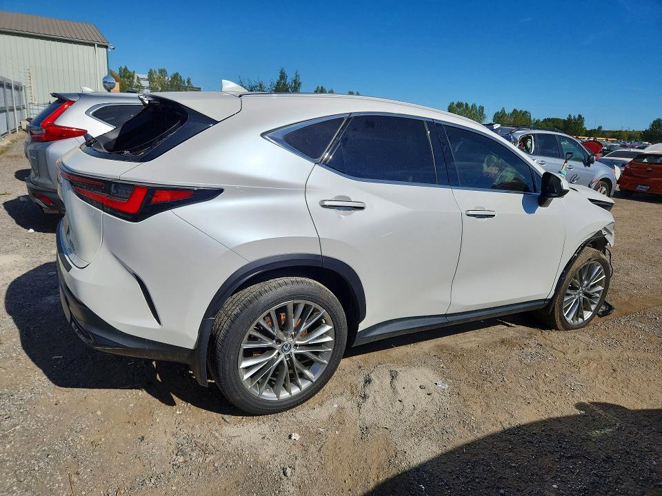 Photo 3 from auction – 2022 LEXUS NX with VIN 2T2GKCEZ8NC005358