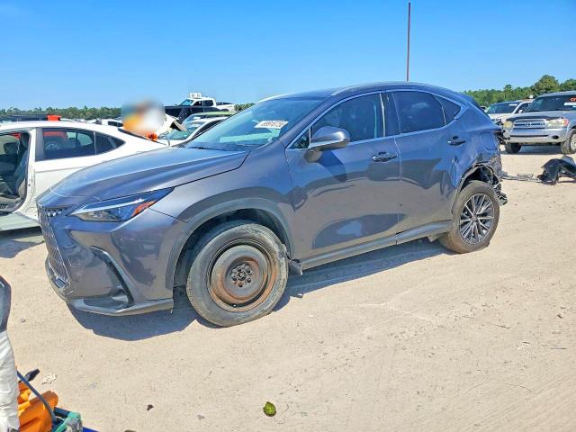 2024 LEXUS NX - Търг №69910756