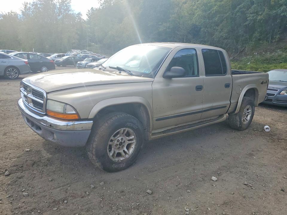 Снимка 1 от търг – 2004 DODGE DAKOTA с VIN 1D7HG48N14S504871