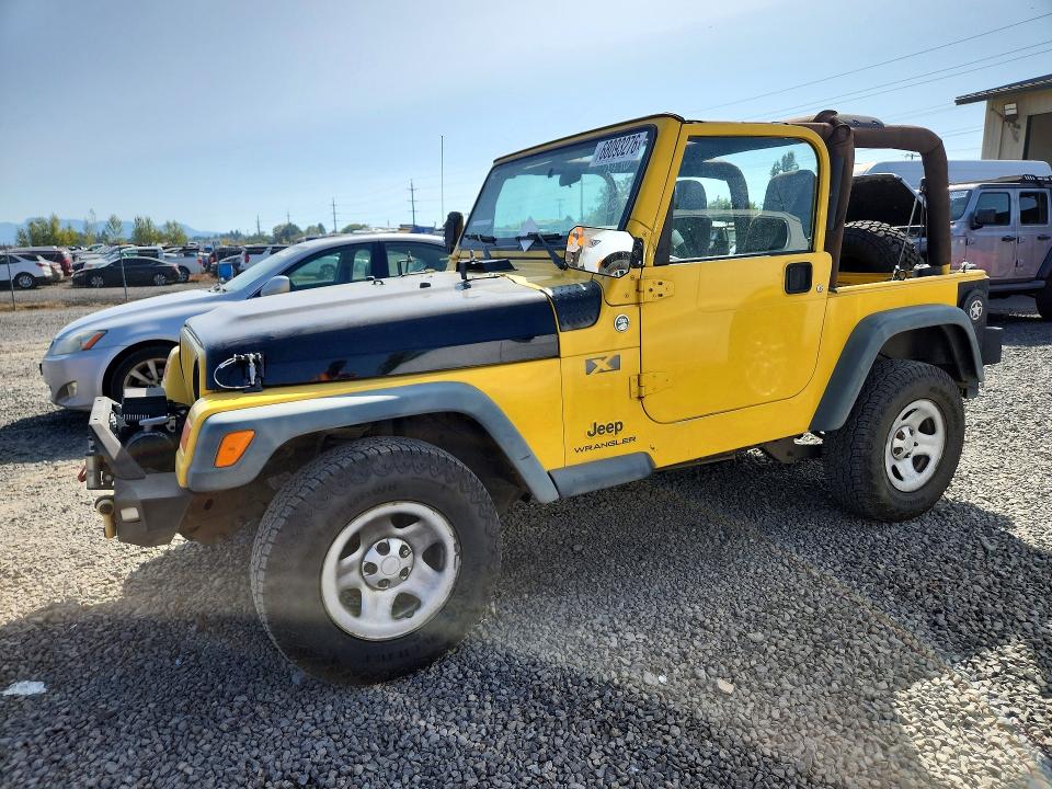 JEEP WRANGLER 2006 with VIN 1J4FA39S16P780713 - Photo from auction
