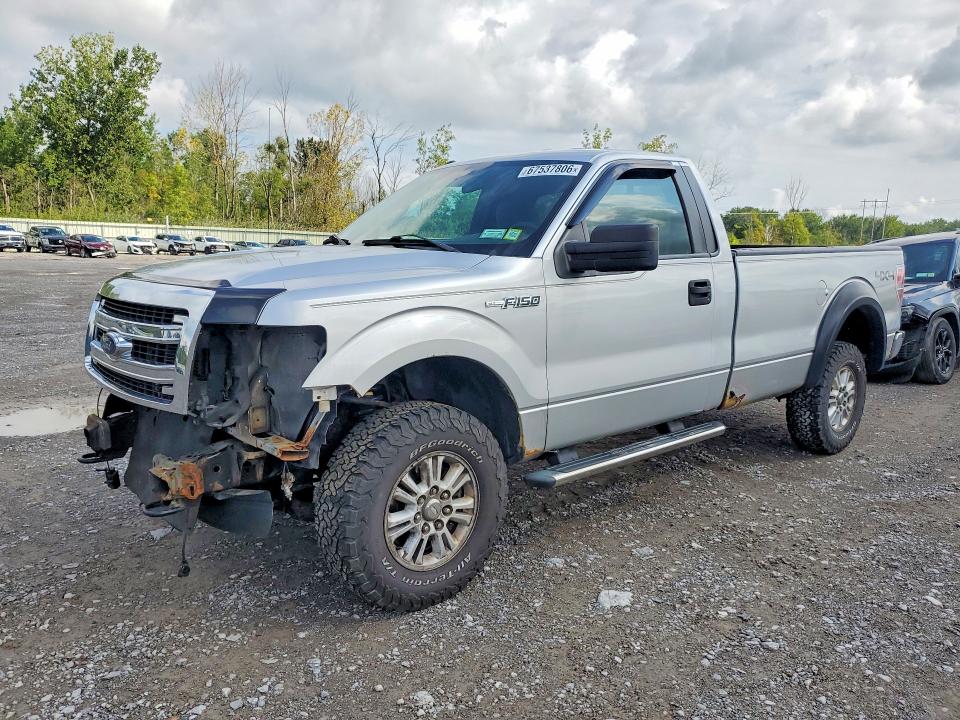 FORD F150 2013 with VIN 1FTPF1EF9DKD75699 - Photo from auction
